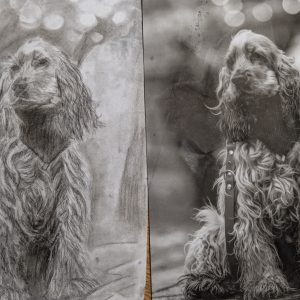 Hand gemaltes Portrait Kohle - Schwarz weis